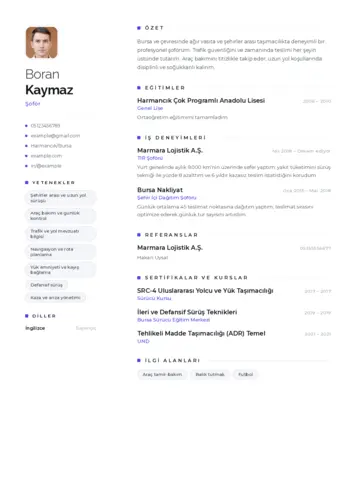  cv indir